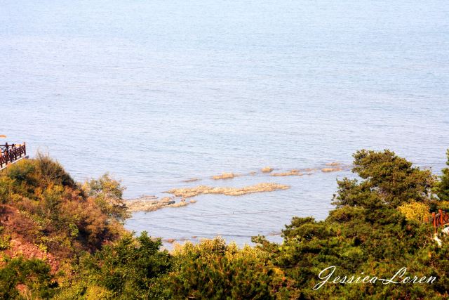 从山海关东戴河,兴城古城,锦州笔架山到盘锦红海滩