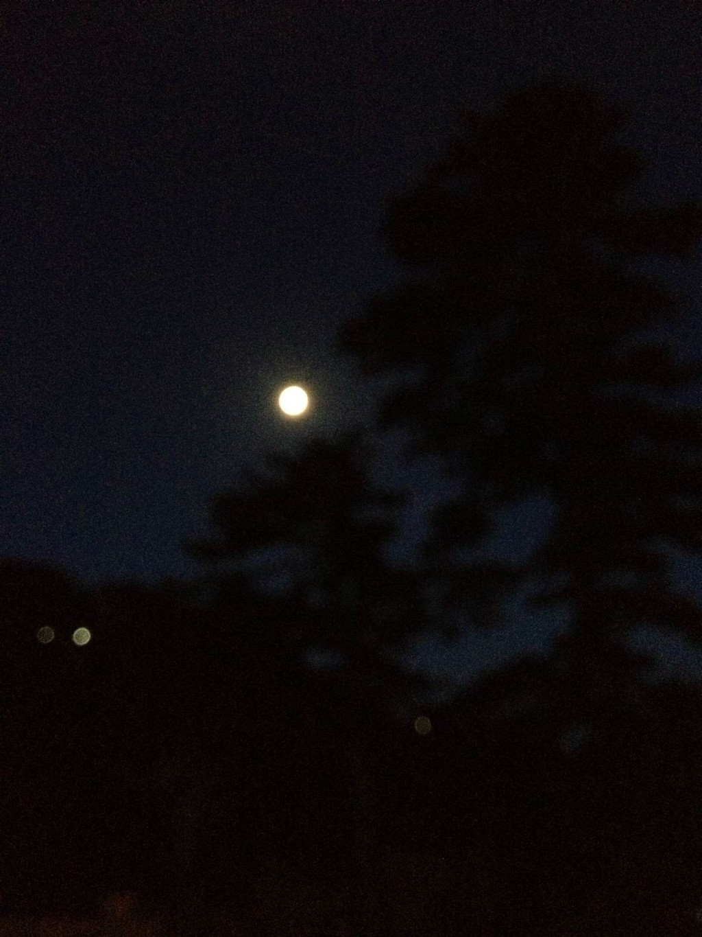                          看月亮