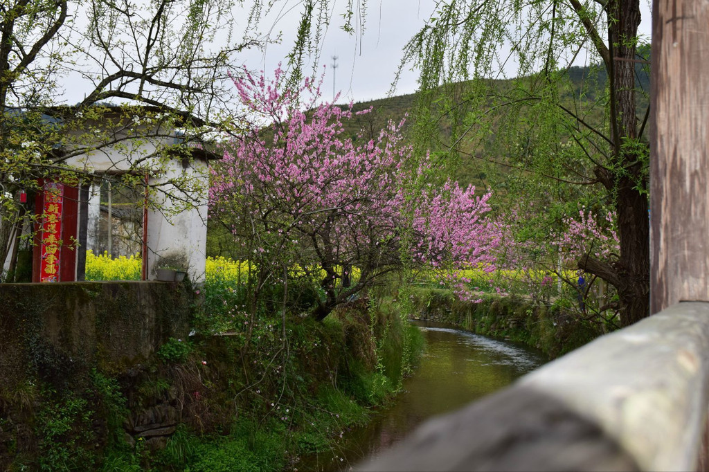 小桥,流水,桃花