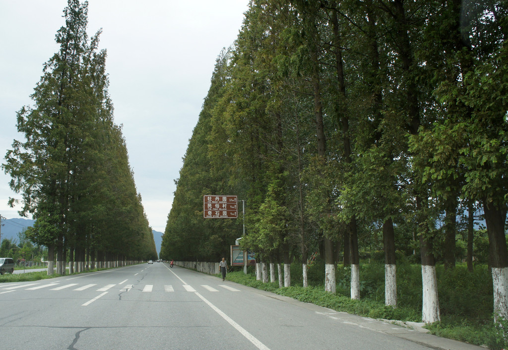 汉中,g316国道.夏天公路边有很多瓜农卖西瓜,价格十分诱人.