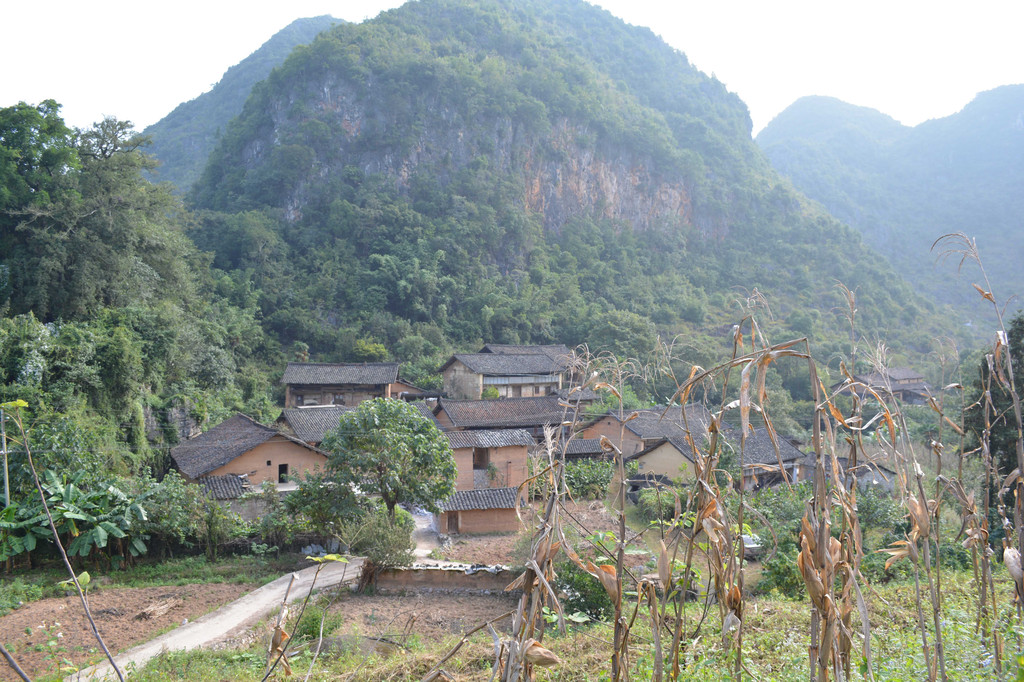 广南县董堡乡里标村