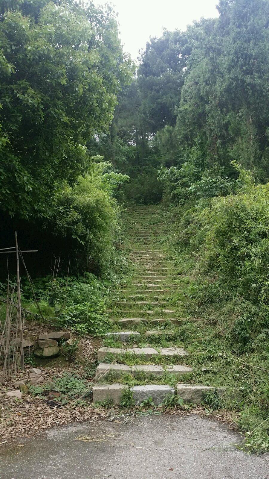 落入凡间的道场山(湖州万寿寺)