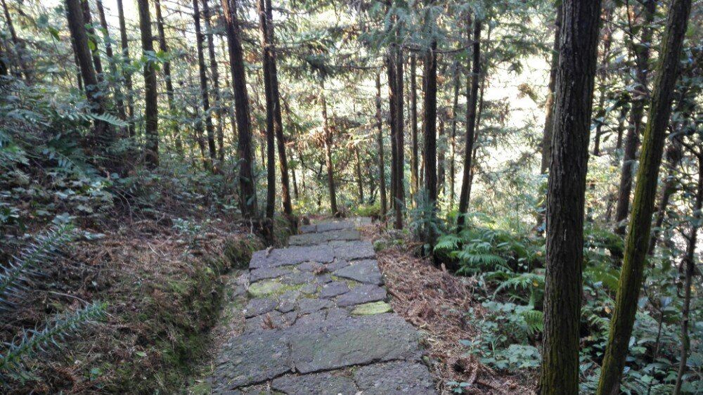 江山多娇:夜逛廿八都古镇,钻洞浮盖山望三省,反走仙霞