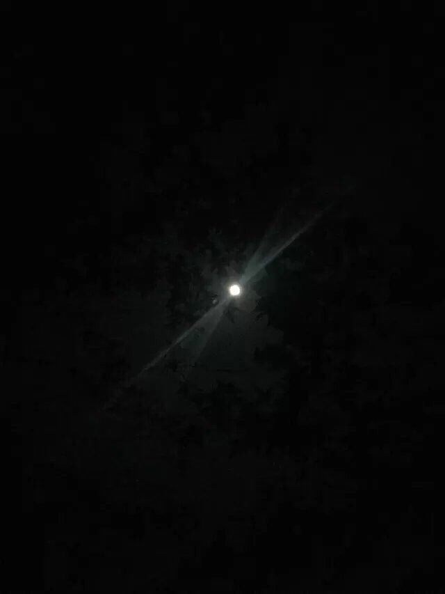 山里的夜,安静的纯粹,时而风,时而流水,时而精灵