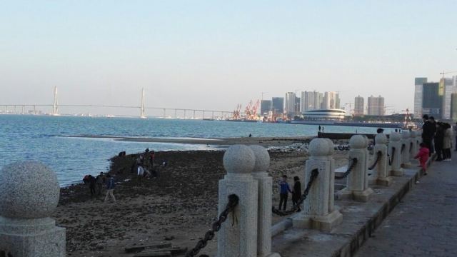 湛江应该是中国空气质量最好的城市之一,常常占据中央气象台公布的空气质量排行榜前三。金沙湾是湛江最美的海湾,夏天可以游泳,浴场很大,休闲躺椅在大大遮阳伞下排列整齐,成为沙滩的一道风景。海滨大道两旁四季鲜花盛开,体育雕塑气势如虹,来此前还有沙雕展,只是有点晚了,有些破损有些遗憾。现在不是夏季无法下海游泳,只有看着海面上沙鸥翔集,对岸坡头的奥林匹克场馆,海湾大桥以及五星级的希尔顿酒店,相映成趣。特别是希尔顿酒店像两只船帆,鼓足准备远航。