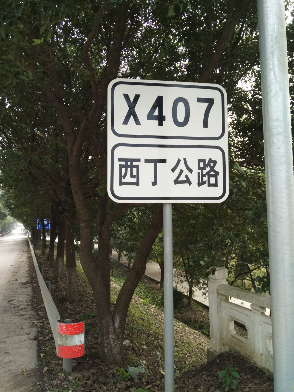 西丁公路,是西塘到丁栅x407县道;过了太浦河大桥