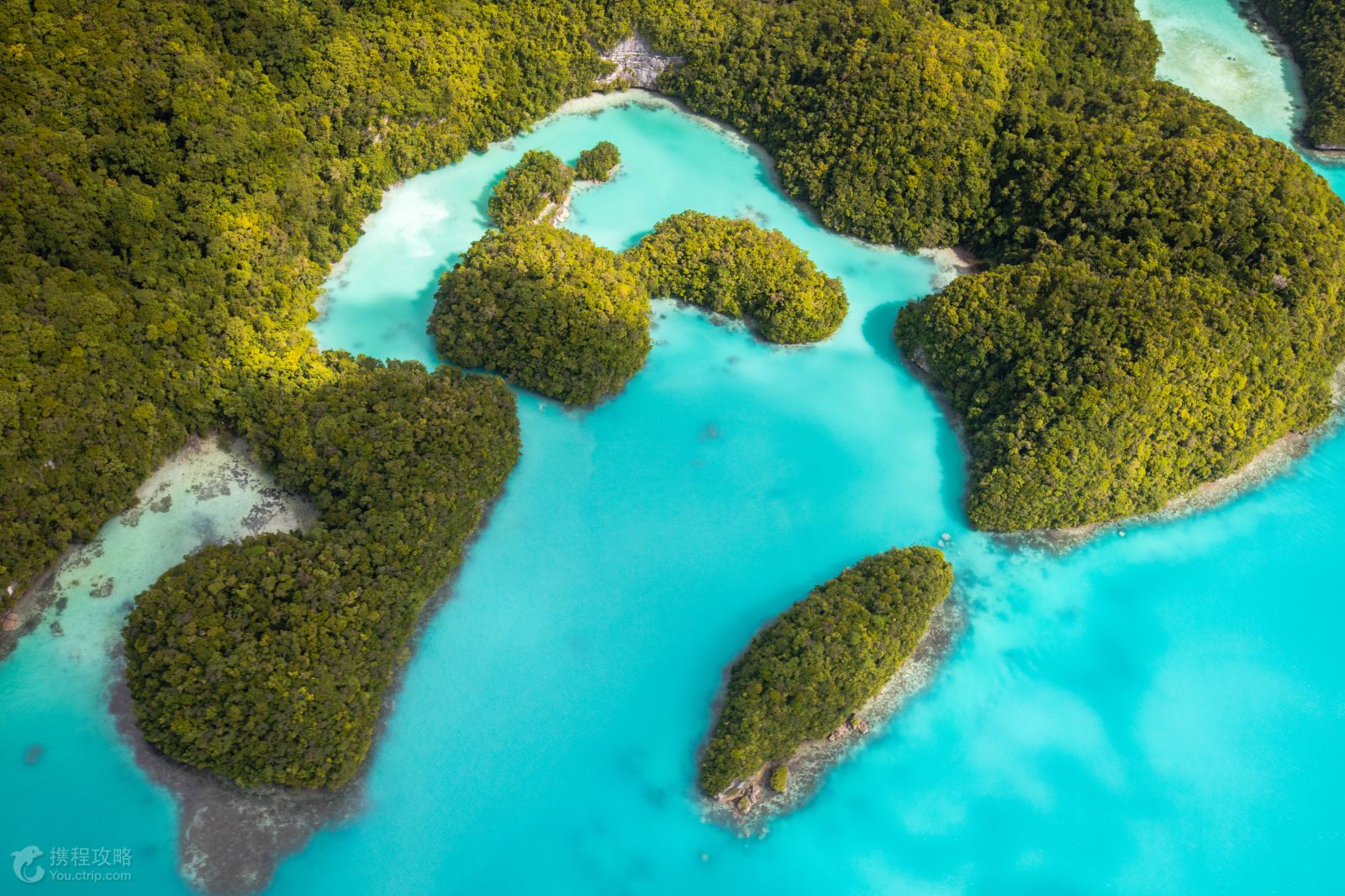 帕劳6日5晚半自助游·太平洋航空+帛琉大饭店