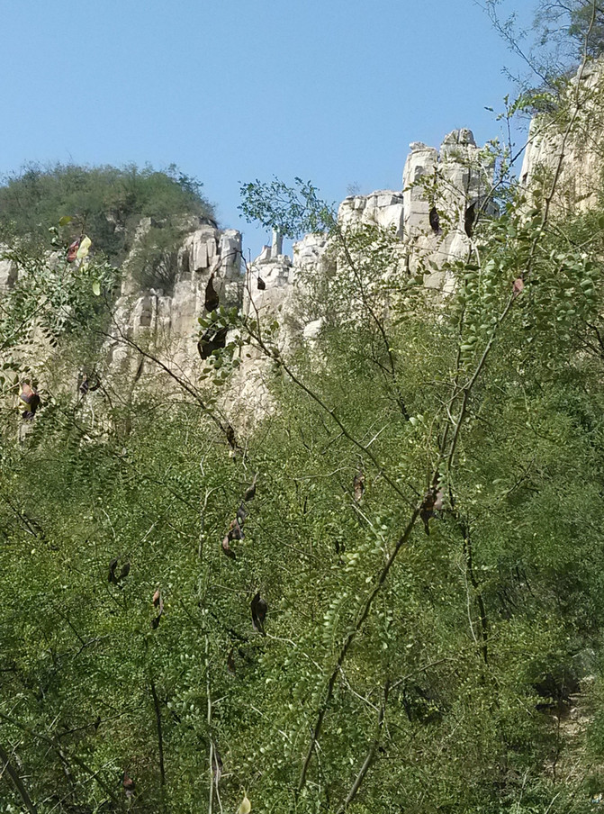 去河北清凉山游玩-有哪些注意事项需要了解 (去河北清凉山怎么走)