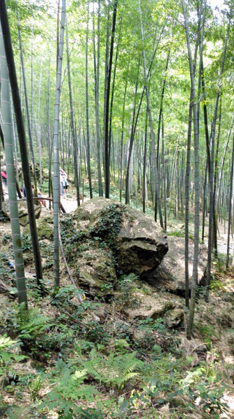 宜兴竹海风景区