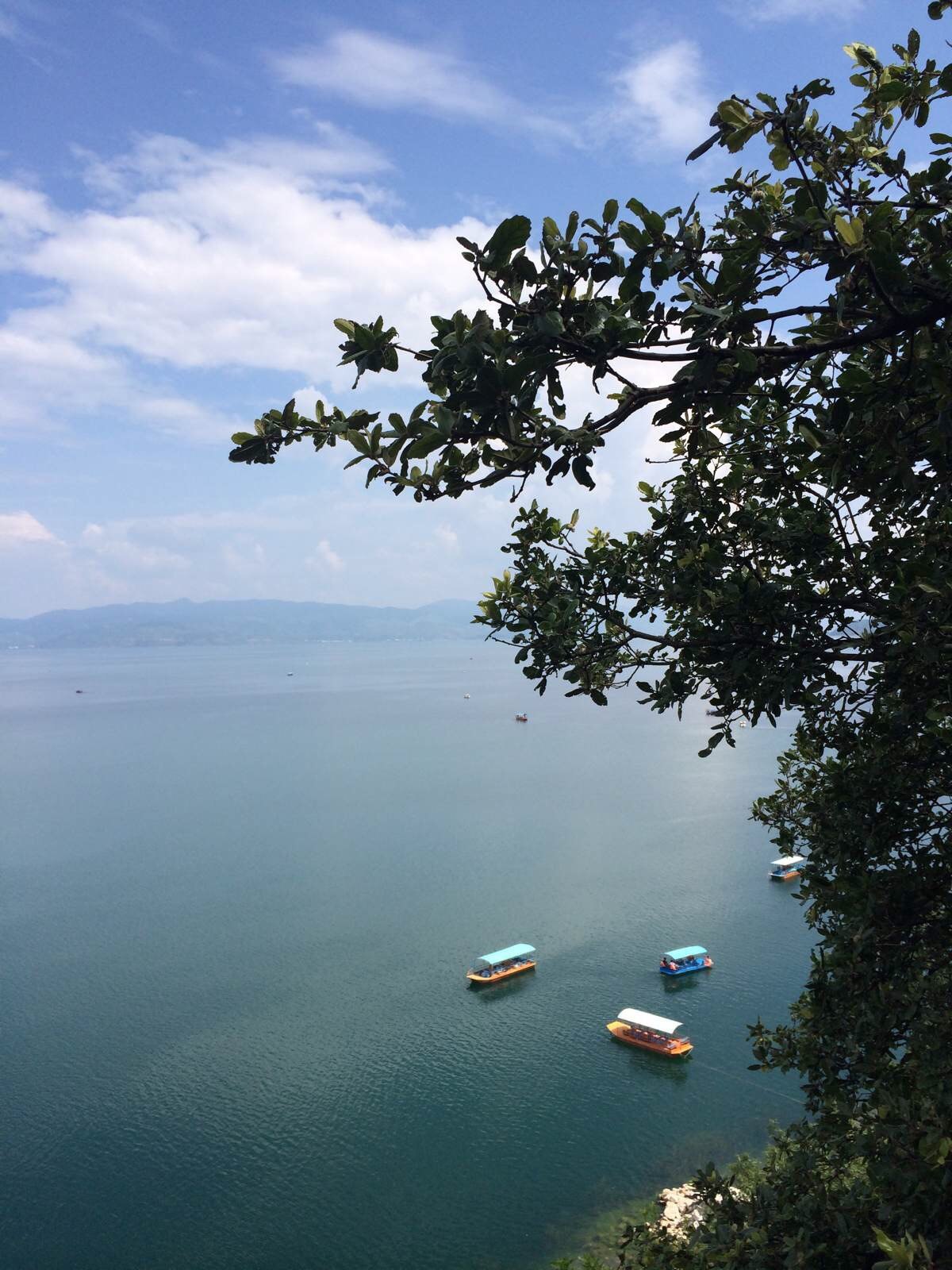 抚仙湖景区