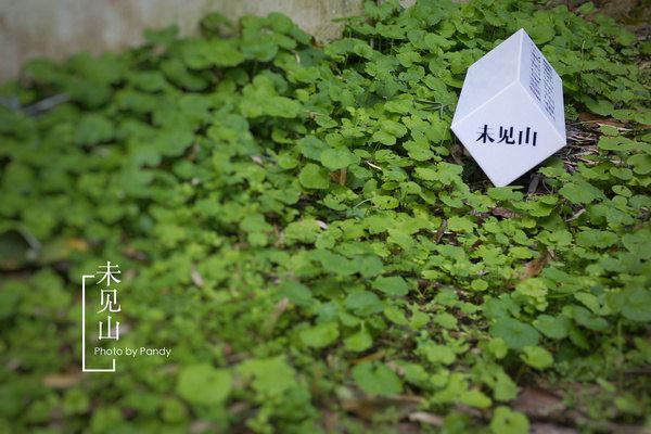 #我的2015#在未见山 做真正的文青--记青果未