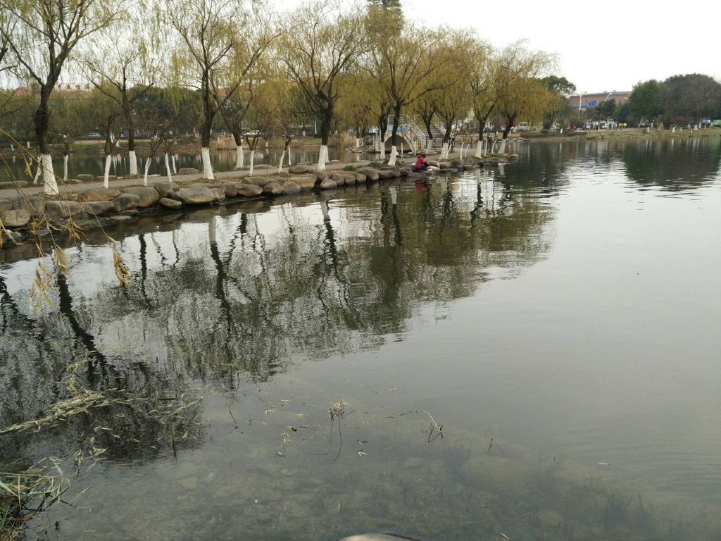 一日跨越苏浙沪 胜似闲庭信步—暴走苏浙汾湖,大渠荡(三)