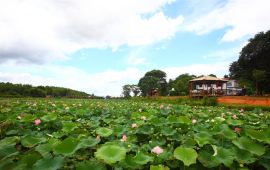 长汀县汀江国家湿地公园天气预报,历史气温,旅