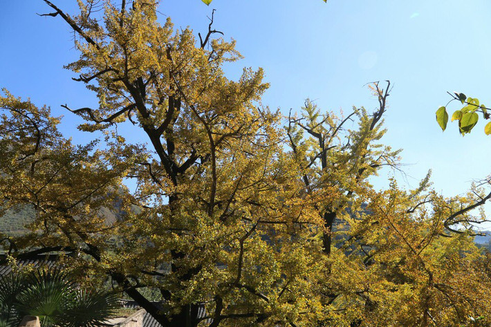֮ - ˮμǹԡЯ̹ԡ