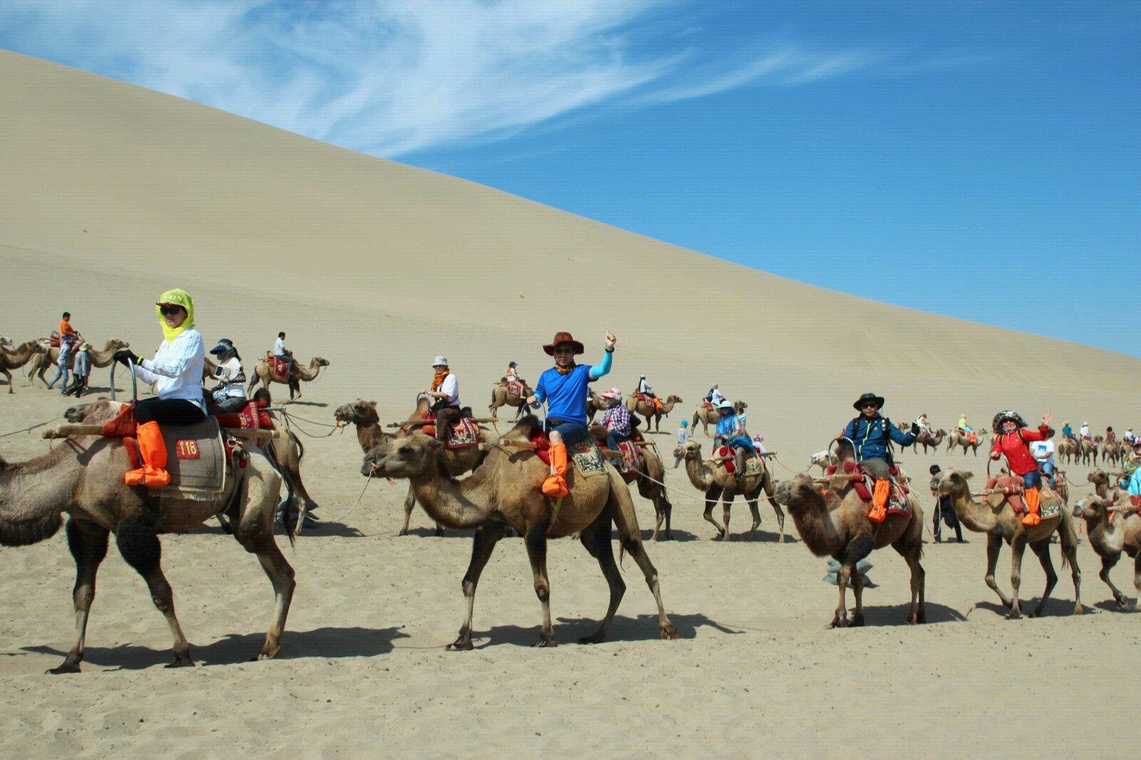【鸣沙山的骆驼队摄影图片】风光摄影_太平洋电脑网摄影部落