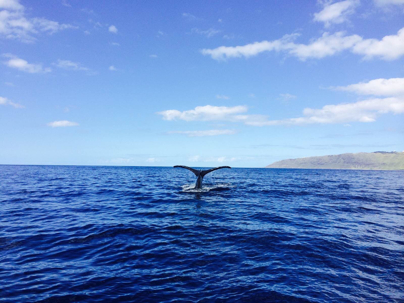 our honeymoon-