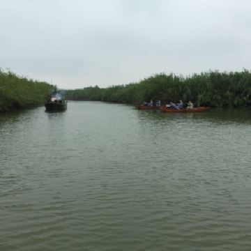 泗洪洪泽湖湿地公园_泗洪湿地公园门票收入(2)