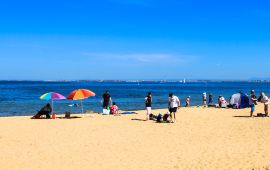 墨尔本布赖顿沙滩天气预报,历史气温,旅游指数