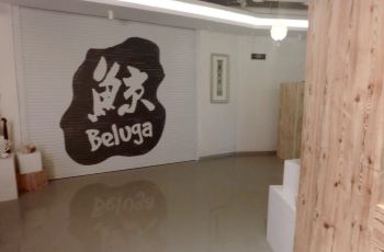 【携程攻略】大连鲸美术馆门票,大连鲸美术馆