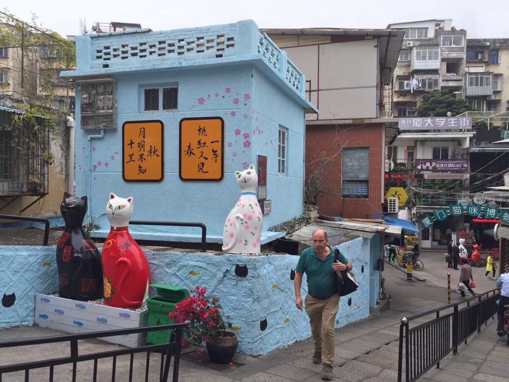生如厦花(一周厦门游,没有鼓浪屿,没有传统景点,随遇而安,属于一个人