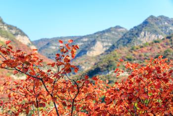 阳泉市平定县岔口乡主铺掌村红岩岭自然风景区