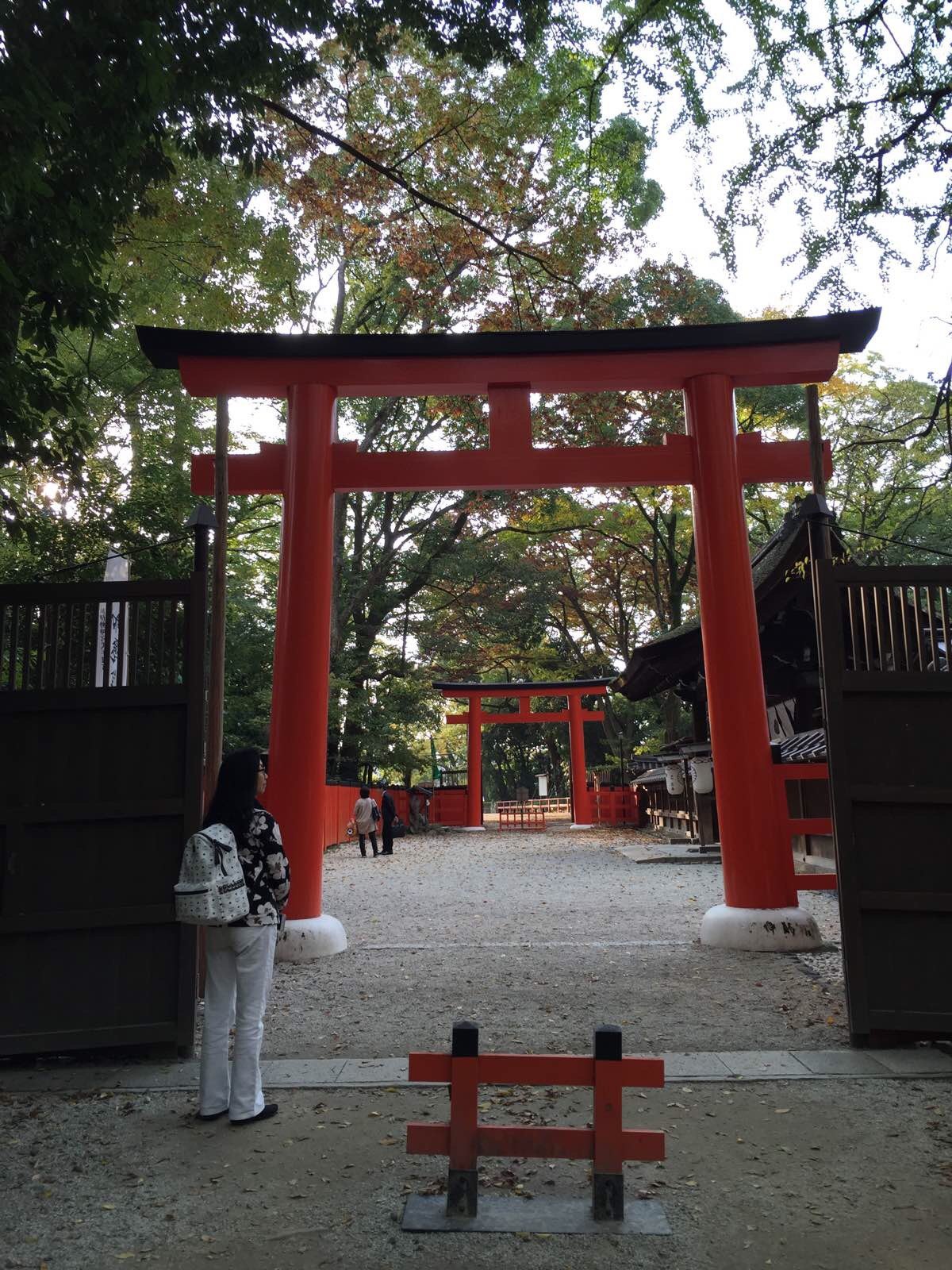 京都河合神社