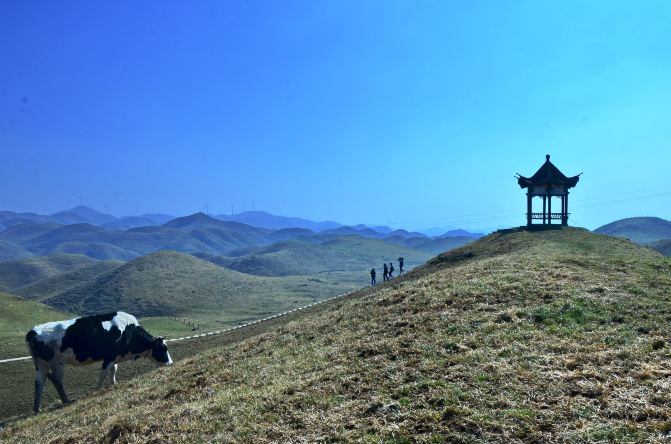 湘西游——第8天,城步南山牧场