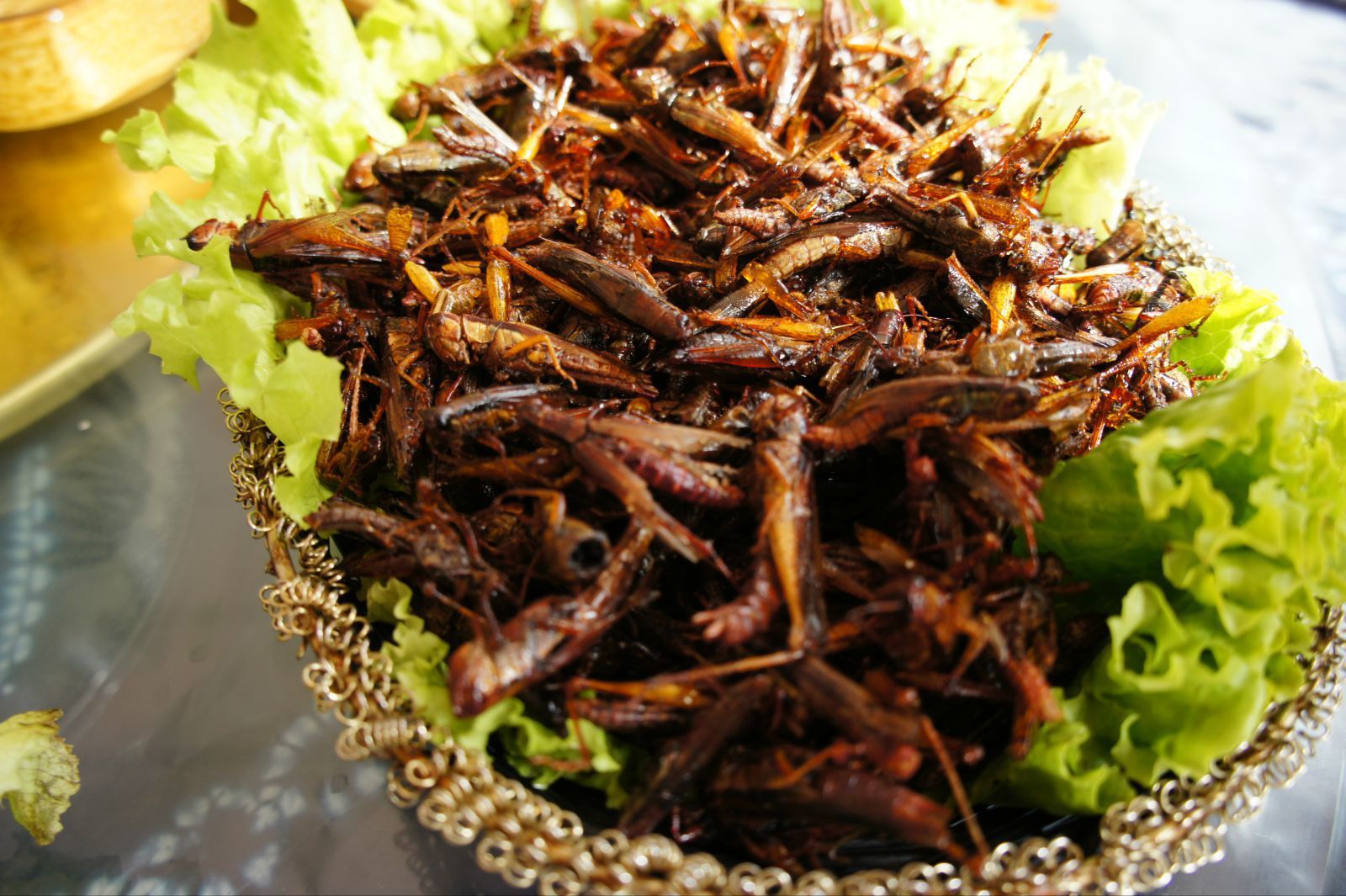 揭秘云南重口味美食“虫子宴”看似恐怖，吃过的人都赞不绝口！_蚂蚁