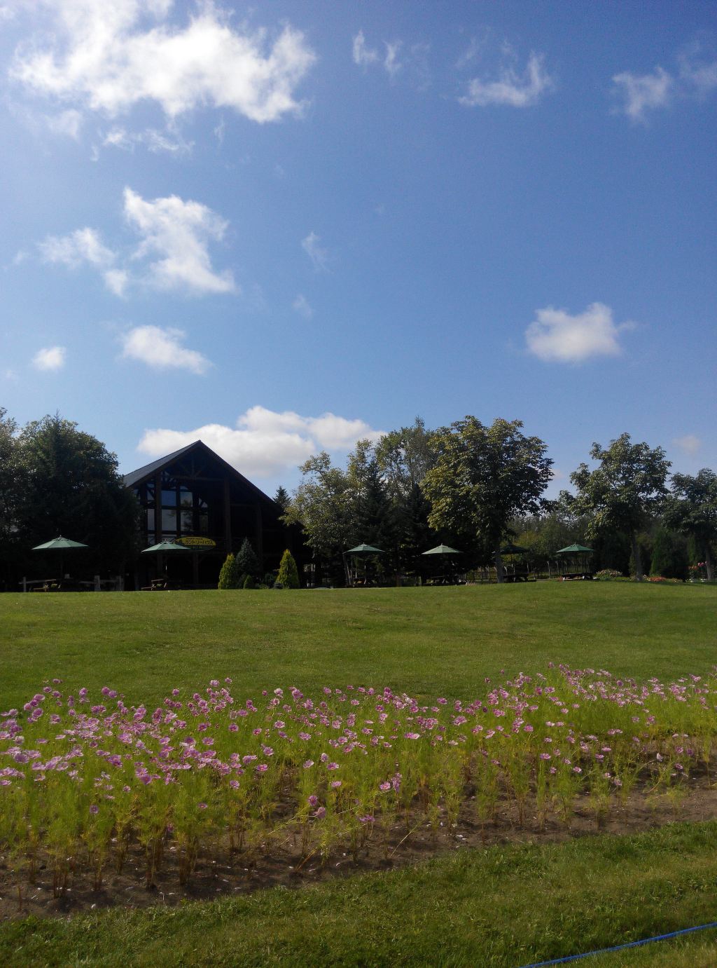 北海道滝野丘陵公园                        