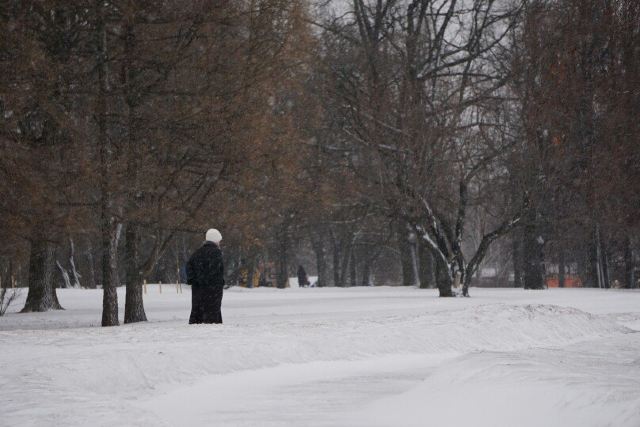 雪地独行