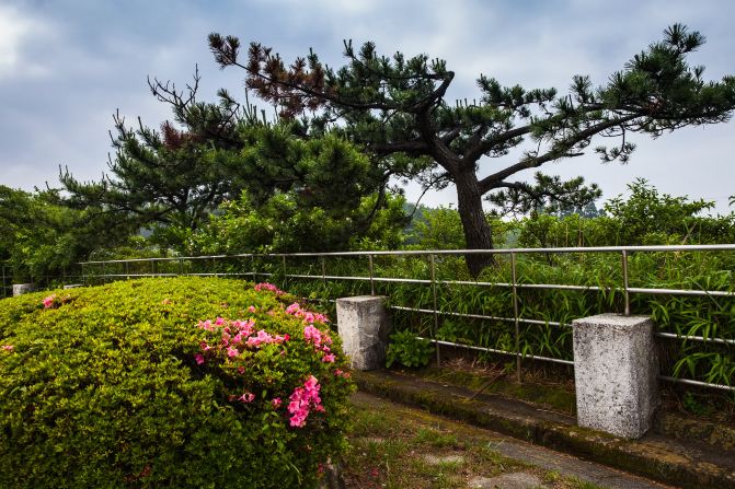 六甲山国立公园还与瑞士施尼格高山植物园缔结了友好植物园关系.