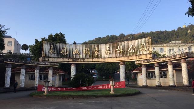 来凤山森林公园门票,保山来凤山森林公园攻略/地址/图片/门票价格