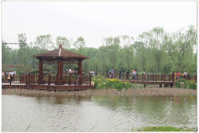 天津武清津北森林公园、空港经济区新燕莎奥特