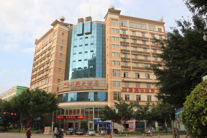 双胞大酒店,墨江