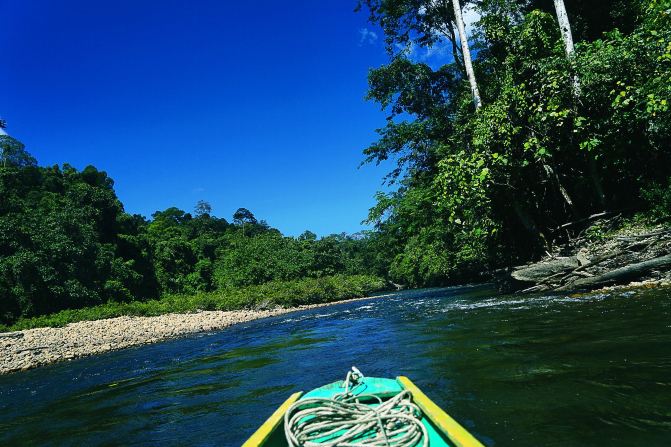 #随手拍#文莱Ulu Temburong国家森林公园 - 辽
