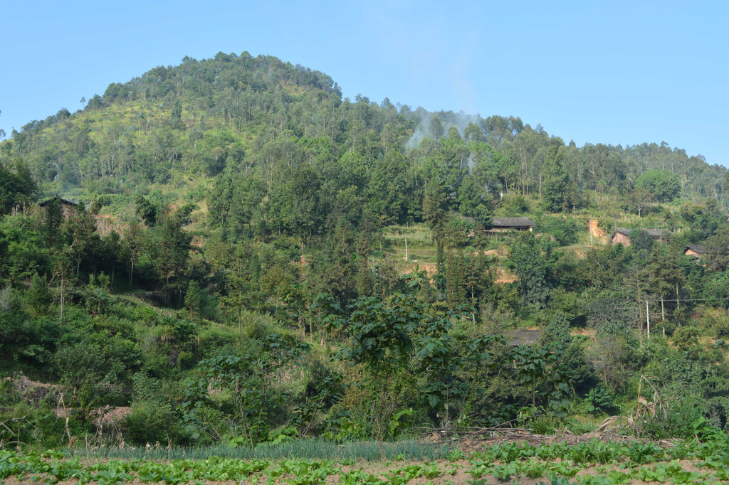 广南县董堡乡里标村