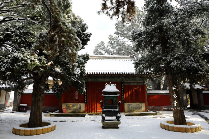 雪后自驾戒台寺,踏雪,赏松,沐禅音(1日游)