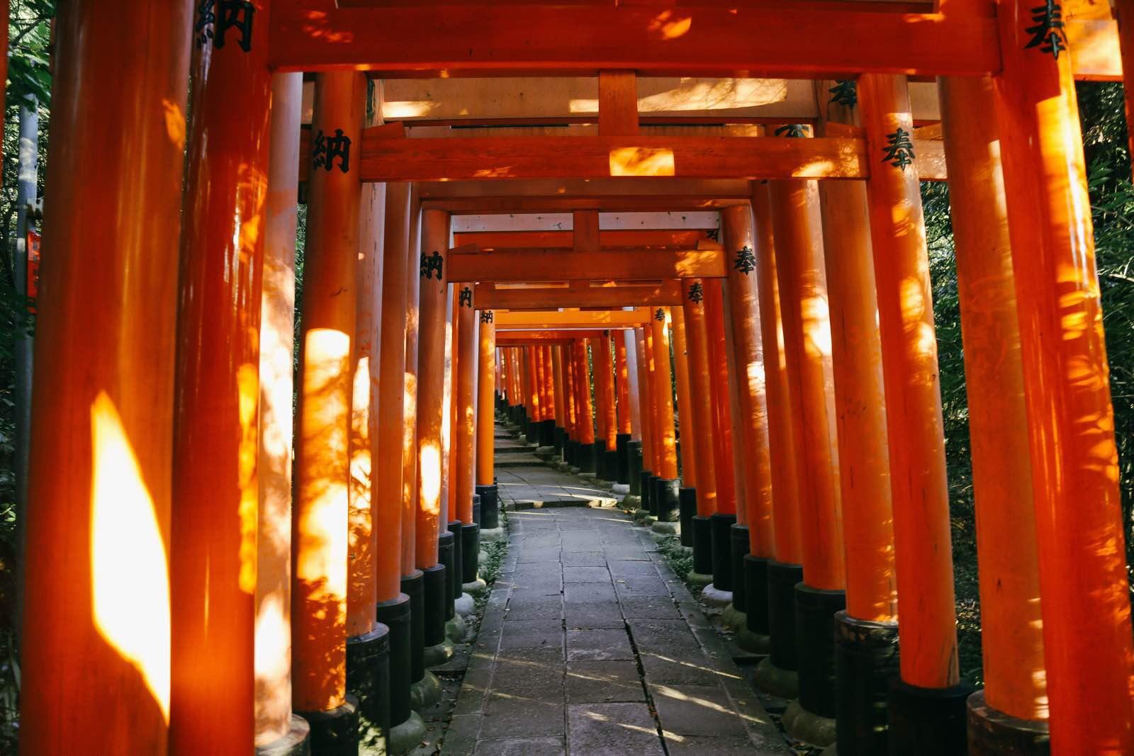 日本稻荷神社之最 伏见稻荷大社