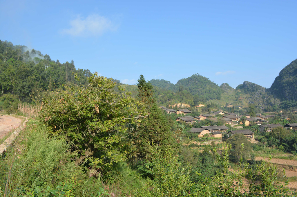 广南县董堡乡里标村