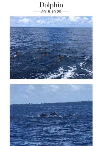 马代星宇之岛Canareef(原幸福岛)首游 - 马尔代