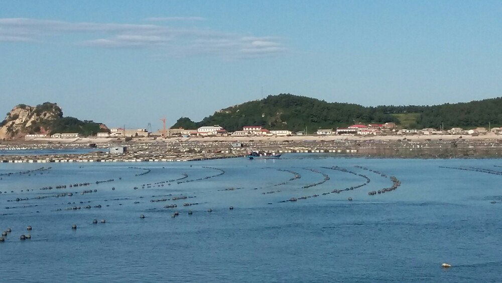 庄河海王九岛—穷游海岛历险记之终结篇