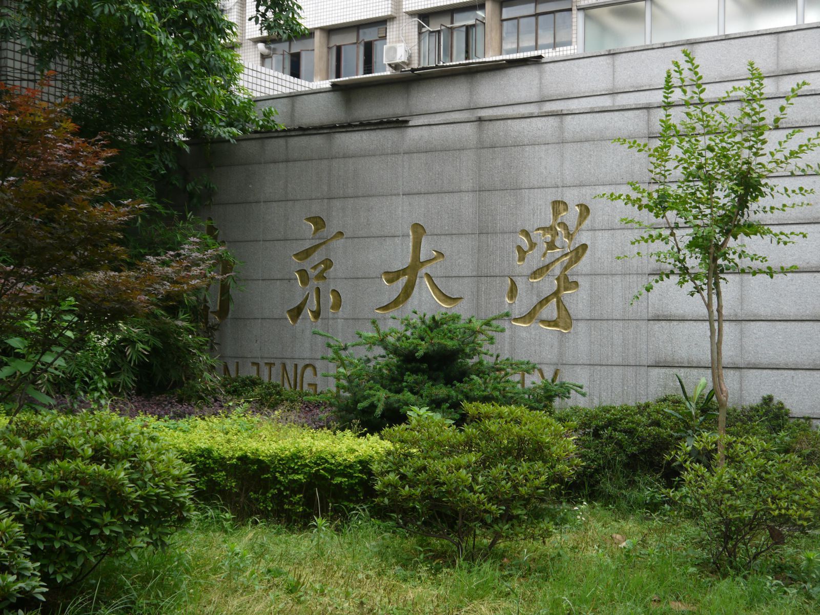 我跟的士师傅说,去南京大学正门,好吧,他果然把我扔在了边门.