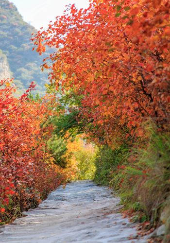 阳泉市平定县岔口乡主铺掌村红岩岭自然风景区