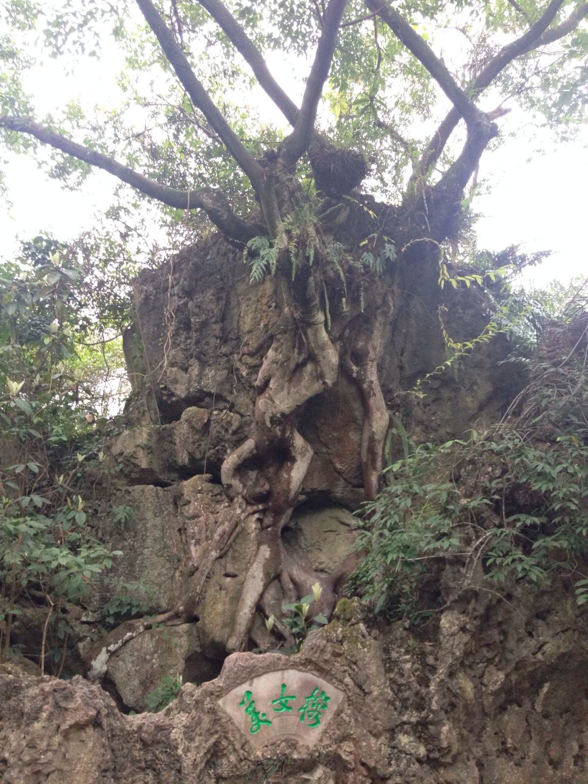 天星桥景区 兴义