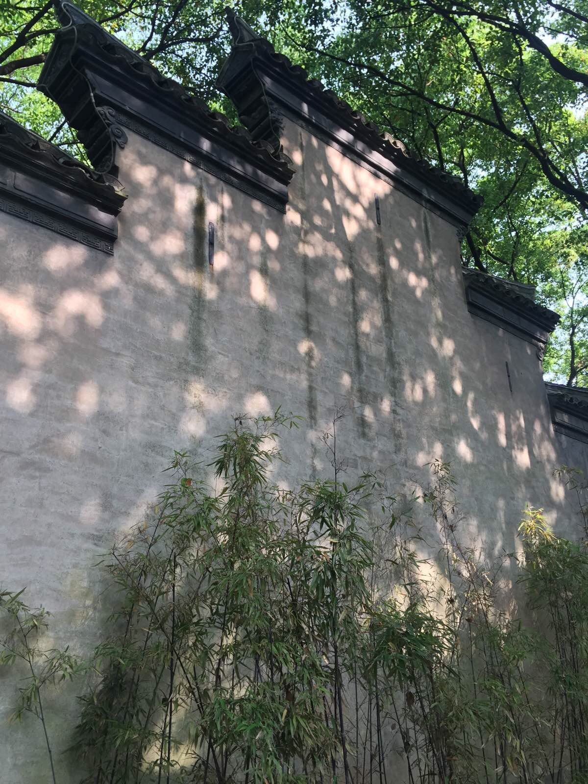 树影斑驳,竹叶参差,白墙黑瓦 天一阁博物馆