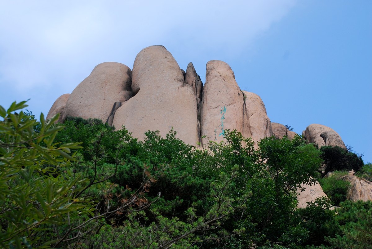 看完日照河山,继续向北来到五莲县,这里有有"中国北方野生杜鹃花基地"