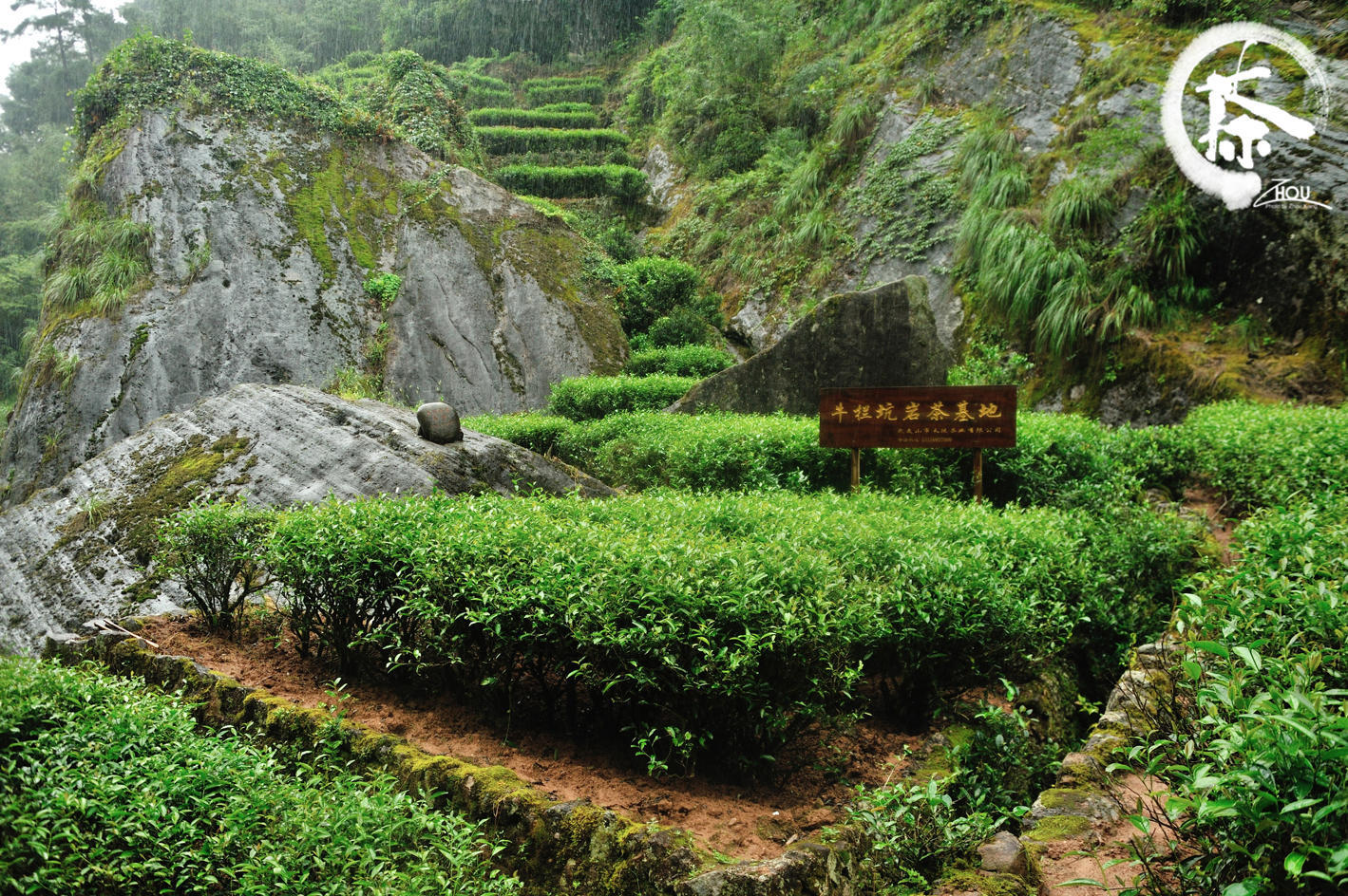 武夷山牛栏坑