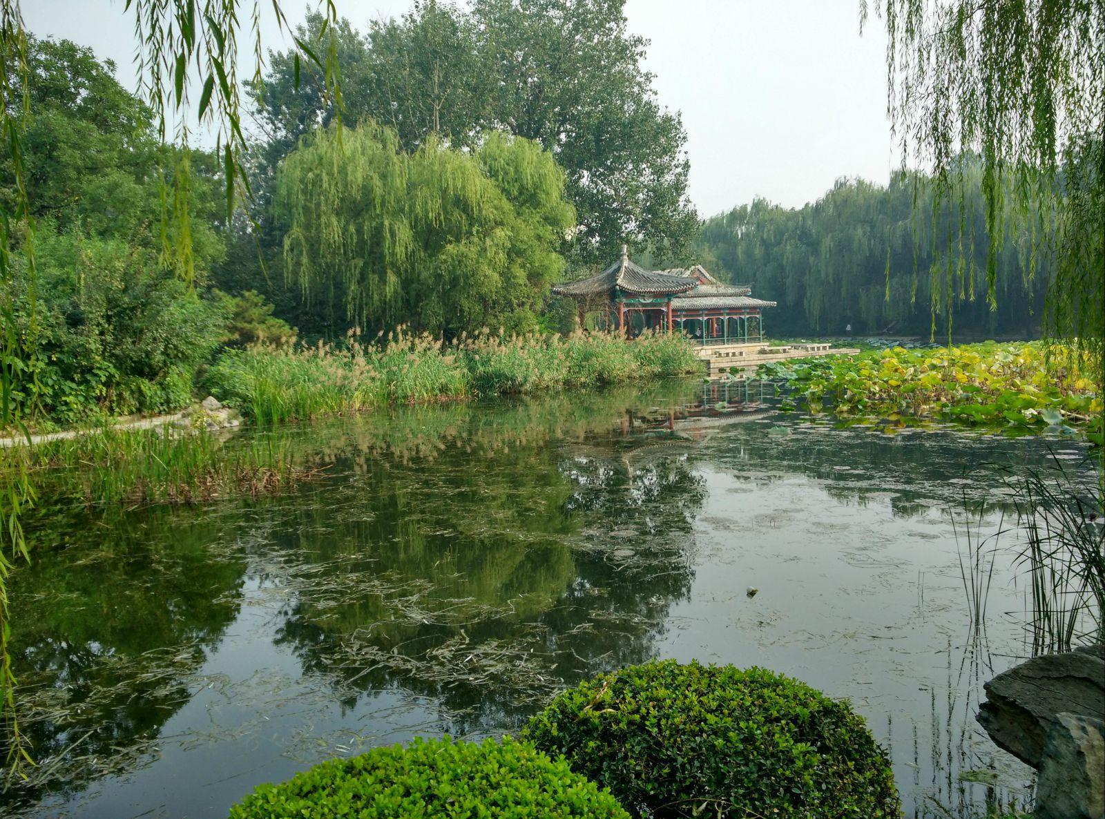 近春园 清华大学