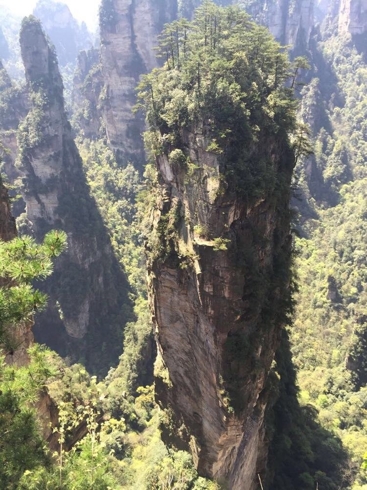                电影阿凡达悬浮山