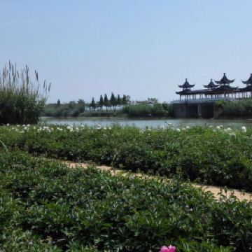 泗洪洪泽湖湿地公园_泗洪湿地公园门票收入(3)